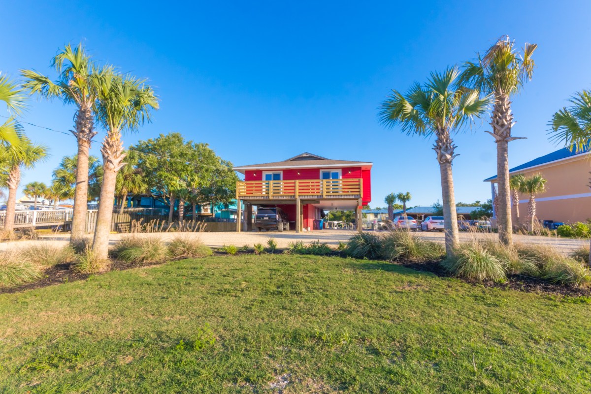 a group of palm trees in front of a house